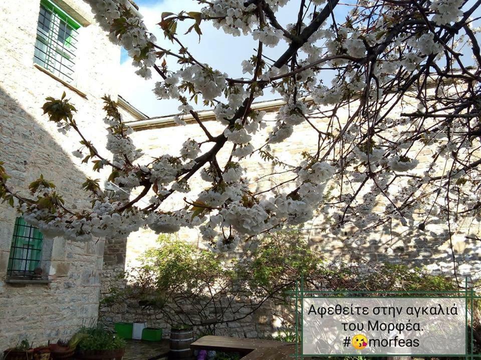 Morfeas Guesthouse Papigo Exterior foto